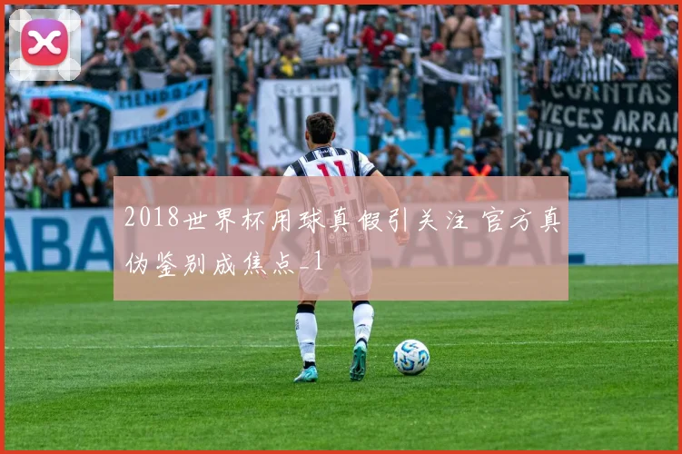 2018世界杯用球真假引关注 官方真伪鉴别成焦点_1